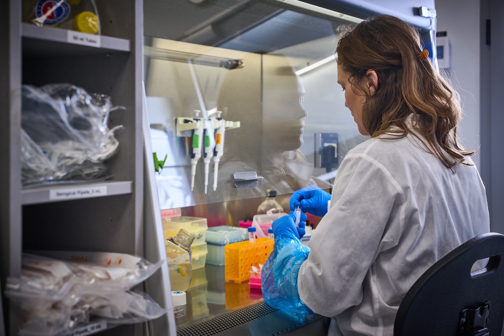 Melamed Lab members at work