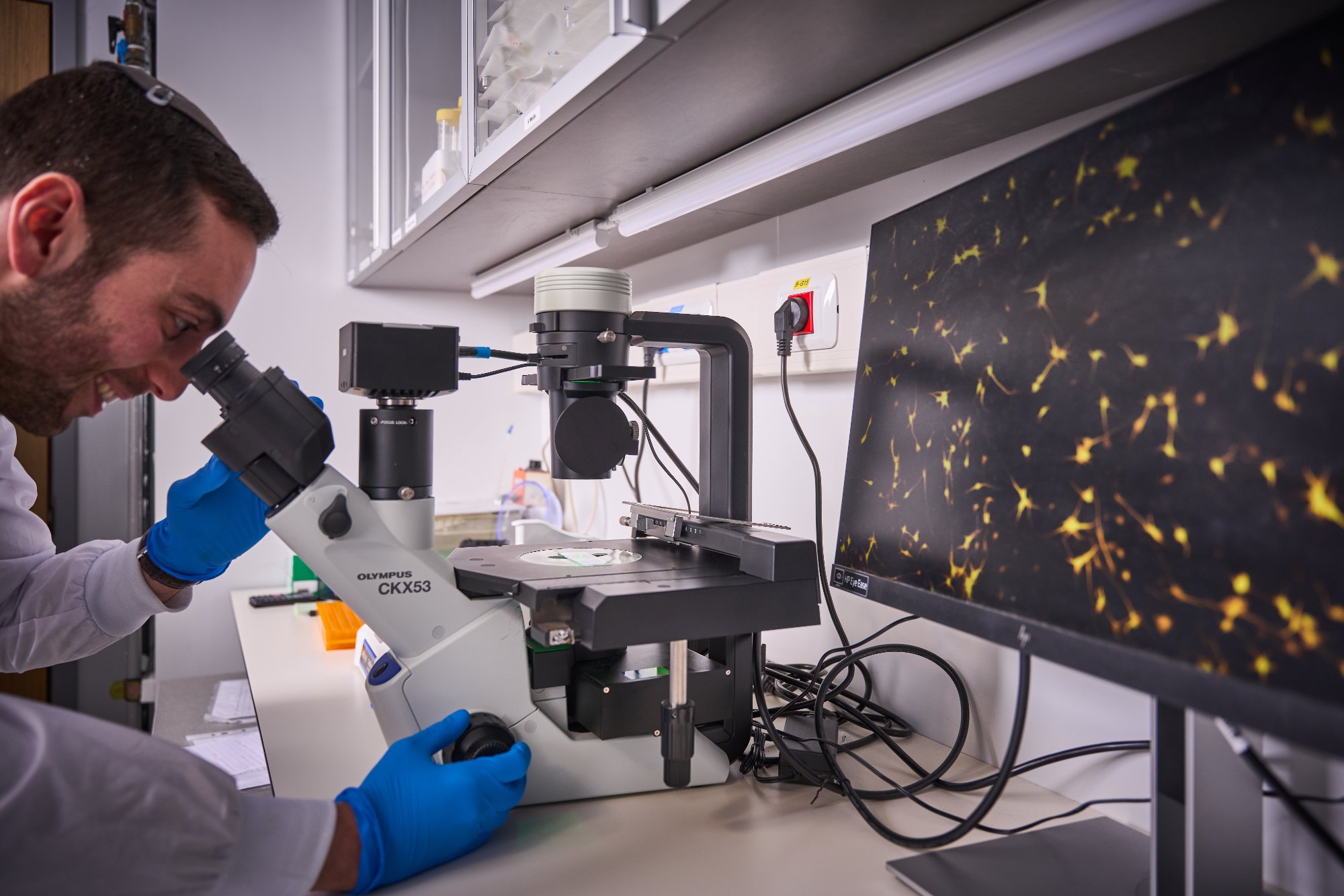 Lab activity and collaboration
